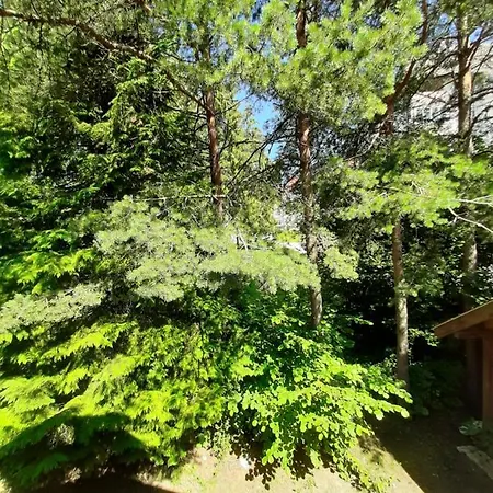 Apartment Vila Petko *