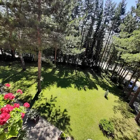 Vila Petko Zlatibor